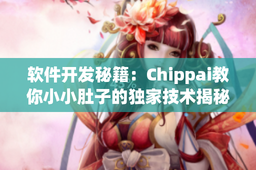 软件开发秘籍：Chippai教你小小肚子的独家技术揭秘