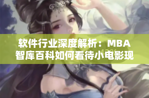 软件行业深度解析：MBA智库百科如何看待小电影现象