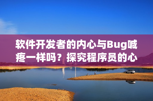 软件开发者的内心与Bug喊疼一样吗？探究程序员的心理活动