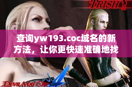 查询yw193.coc域名的新方法，让你更快速准确地找到想要的信息