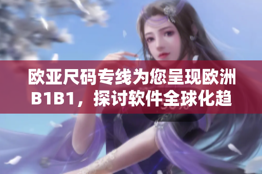 欧亚尺码专线为您呈现欧洲B1B1，探讨软件全球化趋势