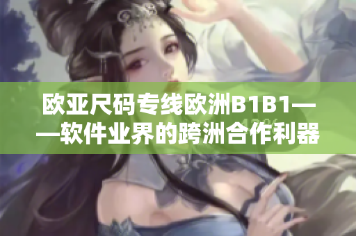 欧亚尺码专线欧洲B1B1——软件业界的跨洲合作利器