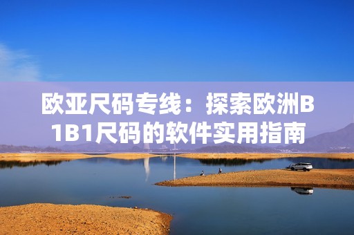 欧亚尺码专线：探索欧洲B1B1尺码的软件实用指南