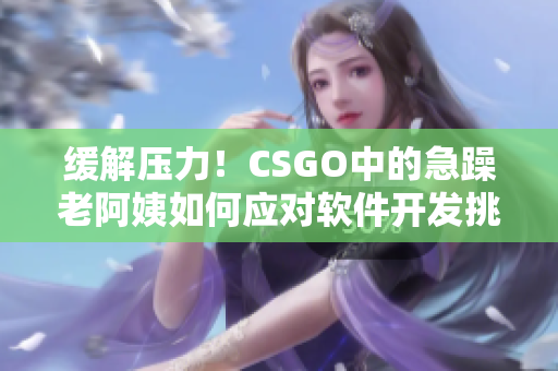 缓解压力！CSGO中的急躁老阿姨如何应对软件开发挑战