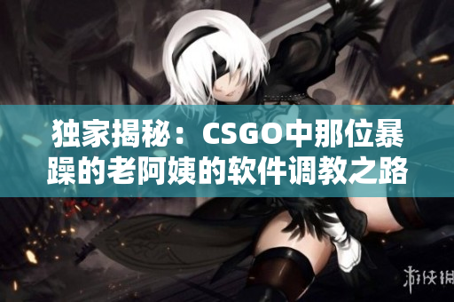 独家揭秘：CSGO中那位暴躁的老阿姨的软件调教之路