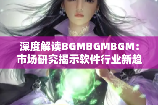 深度解读BGMBGMBGM：市场研究揭示软件行业新趋势