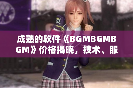 成熟的软件《BGMBGMBGM》价格揭晓，技术、服务双重保障