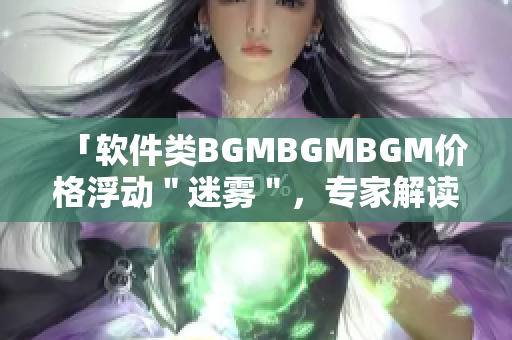 「软件类BGMBGMBGM价格浮动＂迷雾＂，专家解读背后玄机」