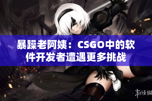 暴躁老阿姨：CSGO中的软件开发者遭遇更多挑战