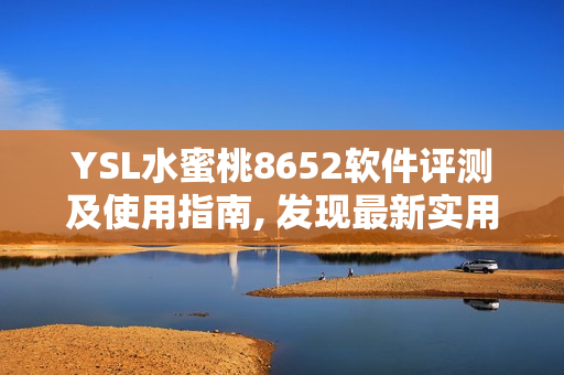 YSL水蜜桃8652软件评测及使用指南, 发现最新实用功能和技巧