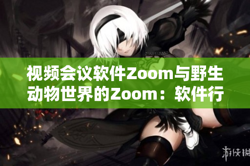 视频会议软件Zoom与野生动物世界的Zoom：软件行业的全新冒险