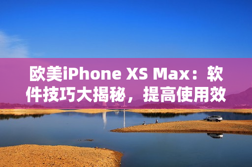 欧美iPhone XS Max：软件技巧大揭秘，提高使用效率