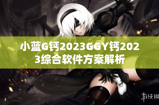 小蓝G钙2023GGY钙2023综合软件方案解析