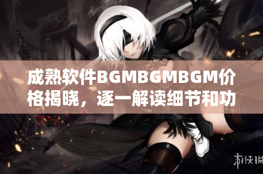 成熟软件BGMBGMBGM价格揭晓，逐一解读细节和功能特点