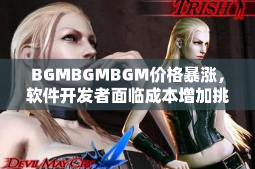 BGMBGMBGM价格暴涨，软件开发者面临成本增加挑战