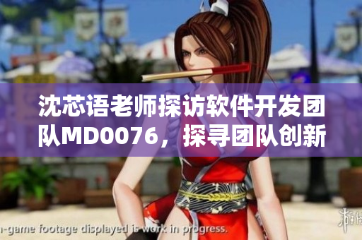 沈芯语老师探访软件开发团队MD0076，探寻团队创新技术与实践差异