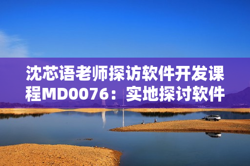 沈芯语老师探访软件开发课程MD0076：实地探讨软件编程技能提升