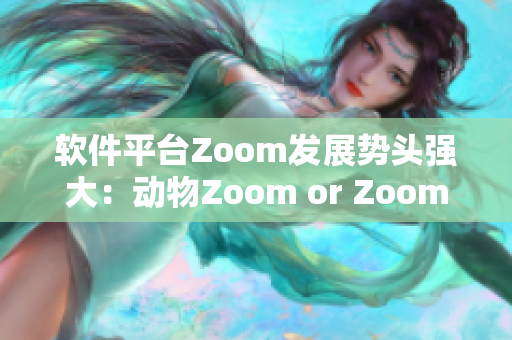 软件平台Zoom发展势头强大：动物Zoom or Zoom风靡全球