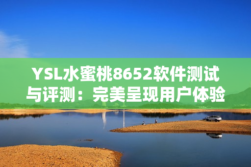 YSL水蜜桃8652软件测试与评测：完美呈现用户体验