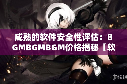 成熟的软件安全性评估：BGMBGMBGM价格揭秘【软件安全评估】