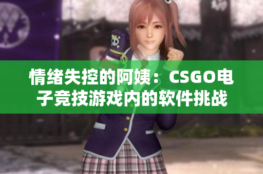 情绪失控的阿姨：CSGO电子竞技游戏内的软件挑战