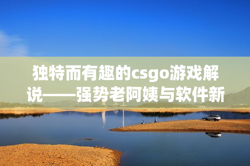 独特而有趣的csgo游戏解说——强势老阿姨与软件新玩法