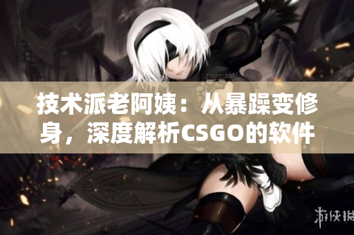 技术派老阿姨：从暴躁变修身，深度解析CSGO的软件优化探索