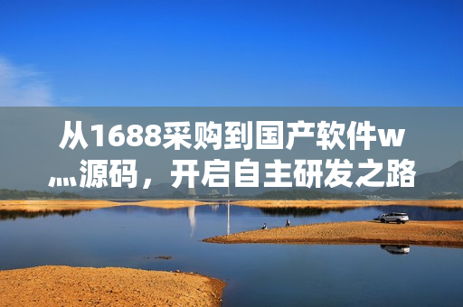 从1688采购到国产软件w灬源码，开启自主研发之路