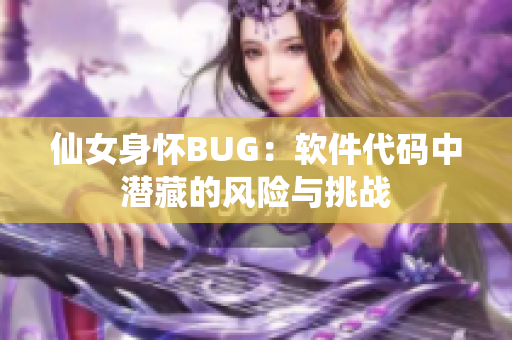 仙女身怀BUG：软件代码中潜藏的风险与挑战