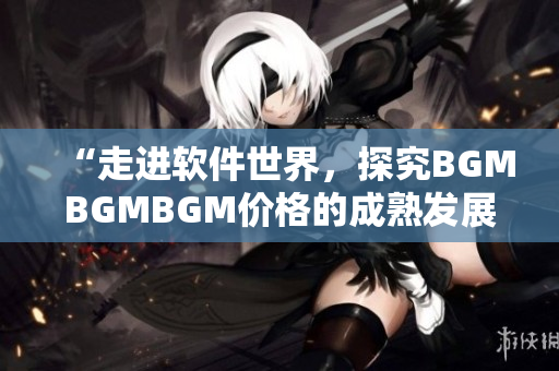 “走进软件世界，探究BGMBGMBGM价格的成熟发展路径”