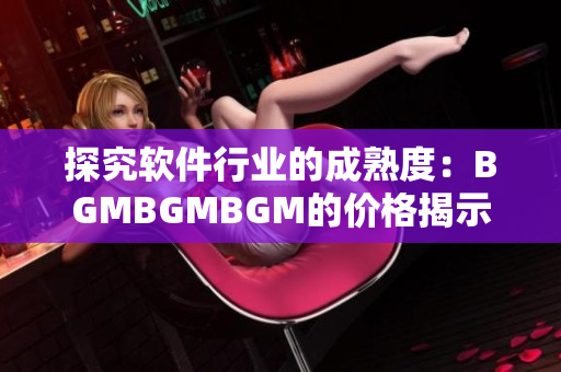 探究软件行业的成熟度：BGMBGMBGM的价格揭示市场趋势