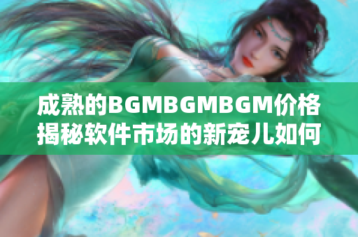 成熟的BGMBGMBGM价格揭秘软件市场的新宠儿如何突围？