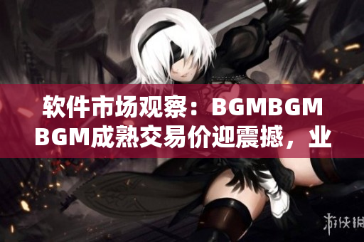 软件市场观察：BGMBGMBGM成熟交易价迎震撼，业界聚焦价值变迁