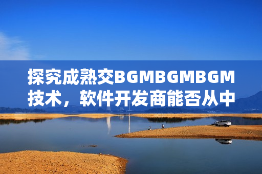 探究成熟交BGMBGMBGM技术，软件开发商能否从中获益？