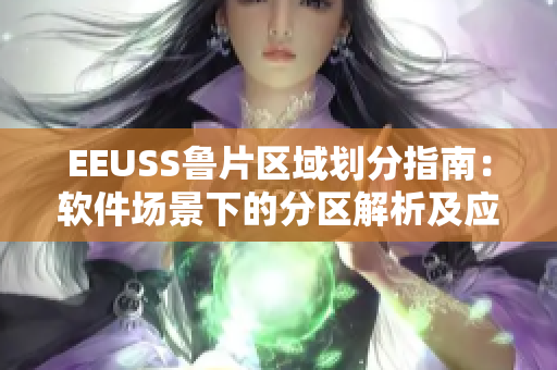 EEUSS鲁片区域划分指南：软件场景下的分区解析及应用指南