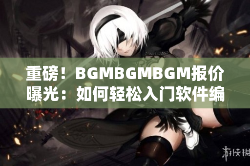 重磅！BGMBGMBGM报价曝光：如何轻松入门软件编程？