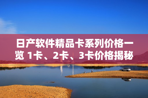 日产软件精品卡系列价格一览 1卡、2卡、3卡价格揭秘