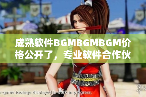 成熟软件BGMBGMBGM价格公开了，专业软件合作伙伴兴奋不已