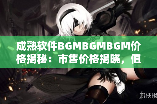 成熟软件BGMBGMBGM价格揭秘：市售价格揭晓，值不值得购买？