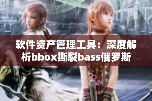 软件资产管理工具：深度解析bbox撕裂bass俄罗斯