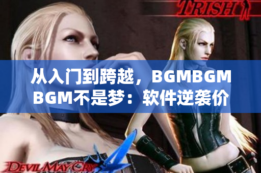 从入门到跨越，BGMBGMBGM不是梦：软件逆袭价格“杀”！