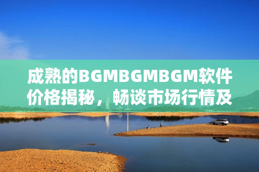 成熟的BGMBGMBGM软件价格揭秘，畅谈市场行情及技术发展