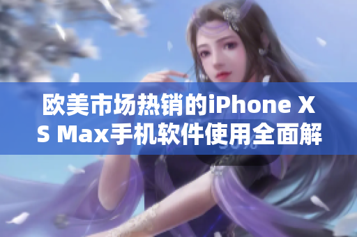 欧美市场热销的iPhone XS Max手机软件使用全面解读