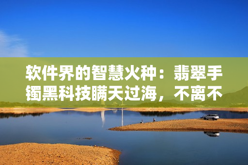 软件界的智慧火种：翡翠手镯黑科技瞒天过海，不离不弃的代码之路