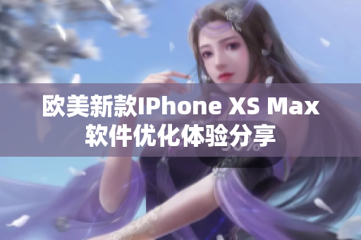 欧美新款IPhone XS Max软件优化体验分享