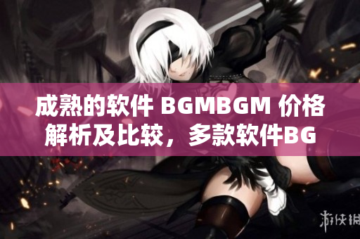 成熟的软件 BGMBGM 价格解析及比较，多款软件BGMBGM价格揭秘