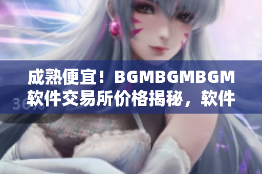 成熟便宜！BGMBGMBGM软件交易所价格揭秘，软件购买指南现已公开