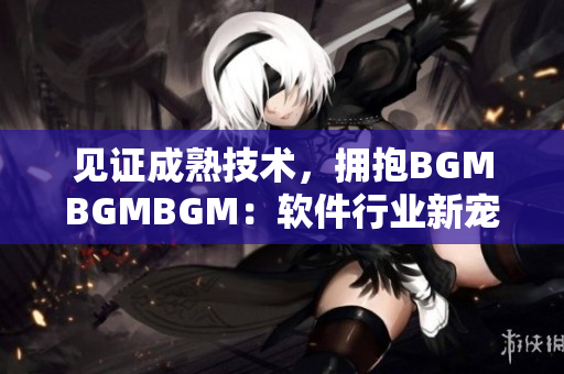 见证成熟技术，拥抱BGMBGMBGM：软件行业新宠价格揭秘