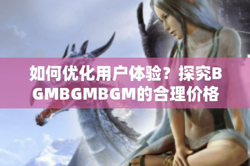 如何优化用户体验？探究BGMBGMBGM的合理价格策略