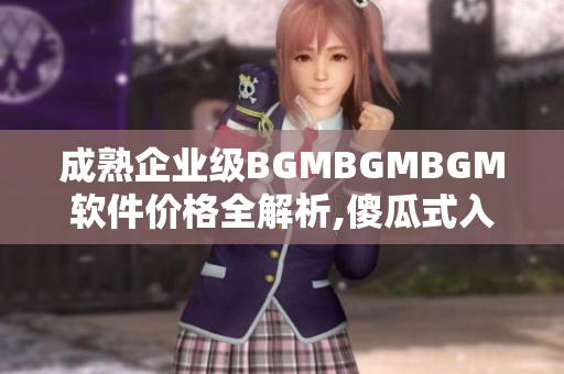 成熟企业级BGMBGMBGM软件价格全解析,傻瓜式入门指南